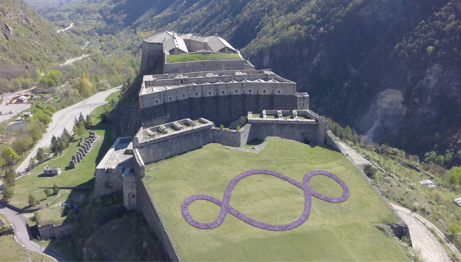 Immagine-forte